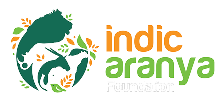 logo-img